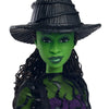 WICKED: Elphaba Fashion Doll