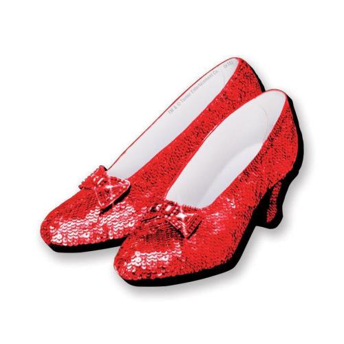 Wizard of Oz Shoes Funky Chunky Magnet