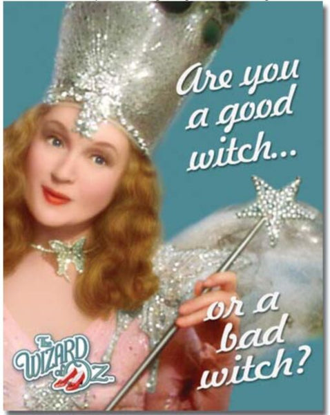 Are You A Good Witch Metal Sign